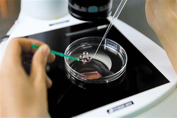 上海做试管怎么样